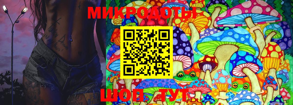Галлюциногенные грибы Psilocybe Гай